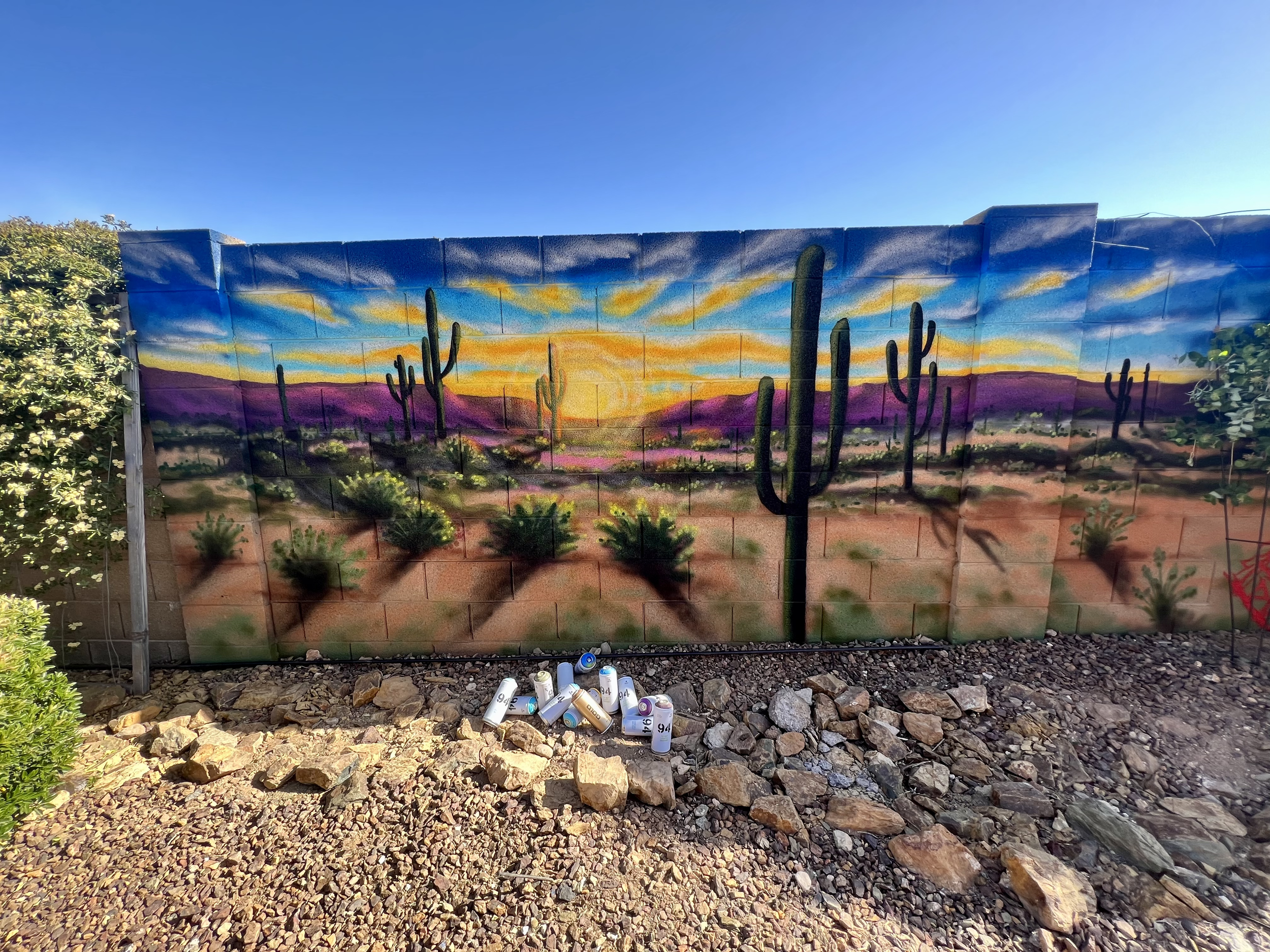 Murals — AZ Spray Art Evolution
